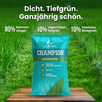  [lang-DE]