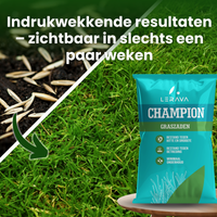[lang-NL]