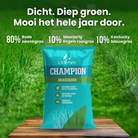 [lang-NL]