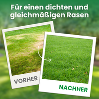 [lang-DE]