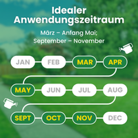 [lang-DE]