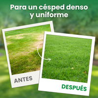 [lang-ES]