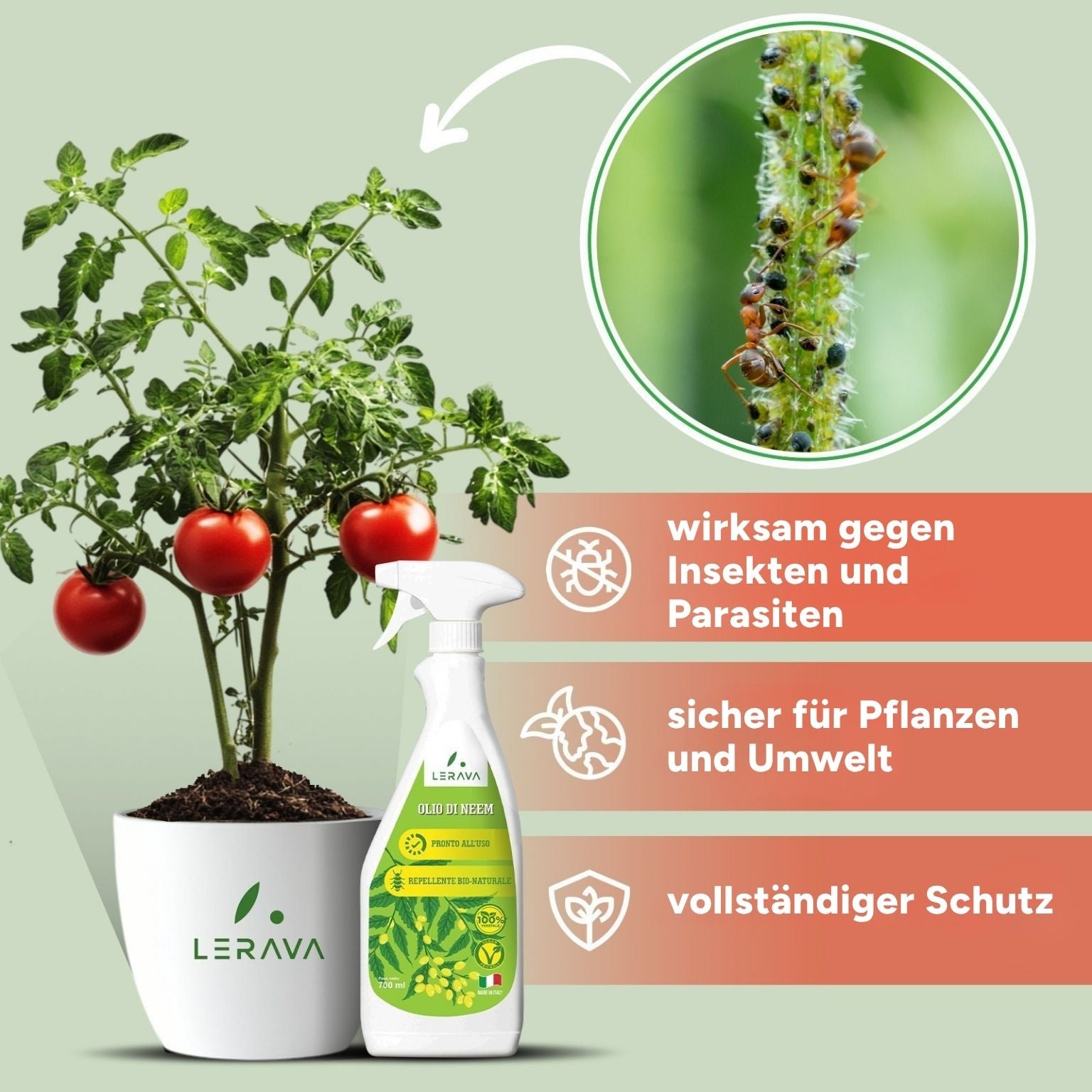 [lang-DE]