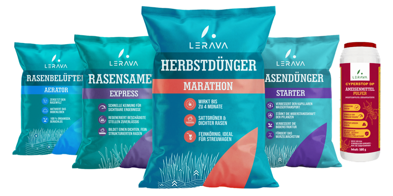 HERBST-KIT — Komplettes Regenerationsprogramm