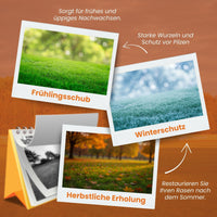  [lang-DE]
