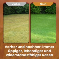  [lang-DE]