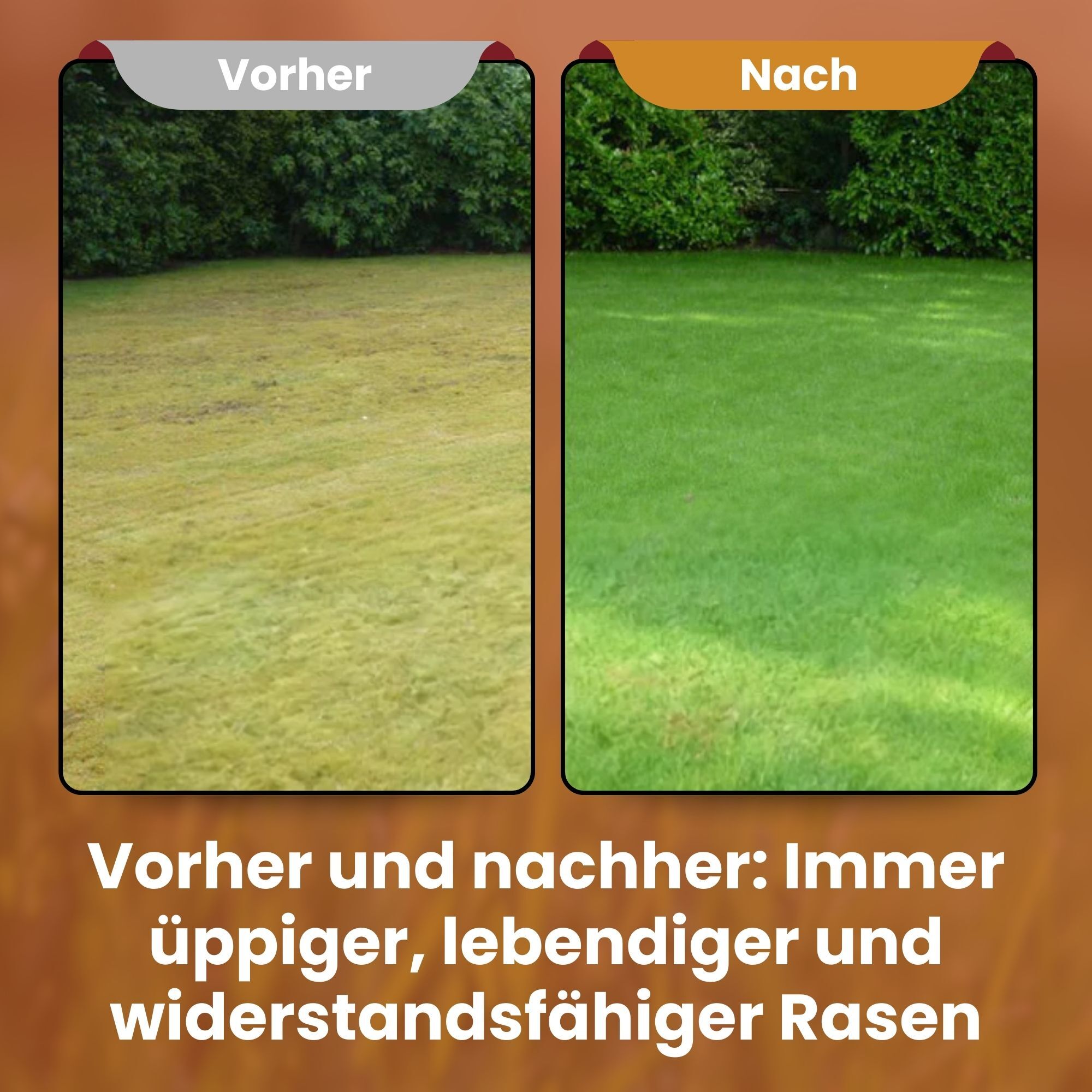  [lang-DE]