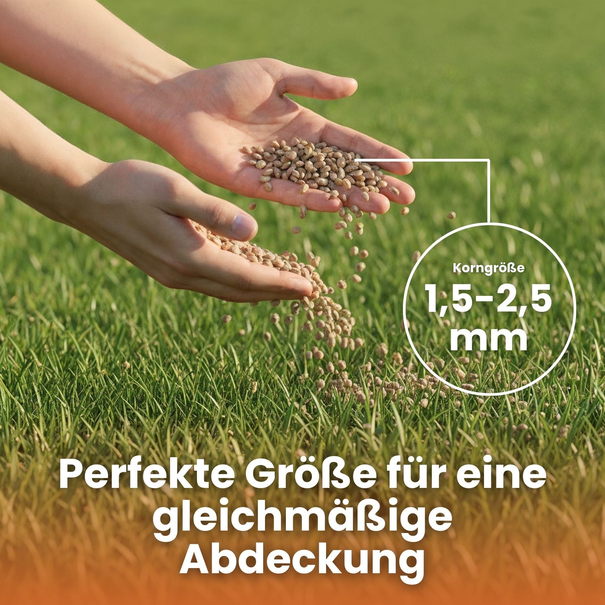 [lang-DE]