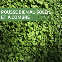 [lang-FR]