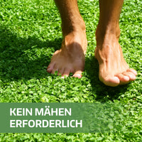 [lang-DE]