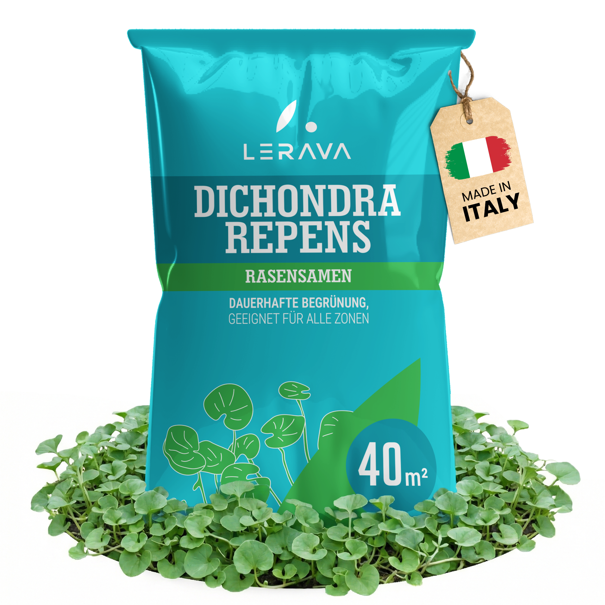 #Taglia_40m² [sku-A0398] [lang-DE]