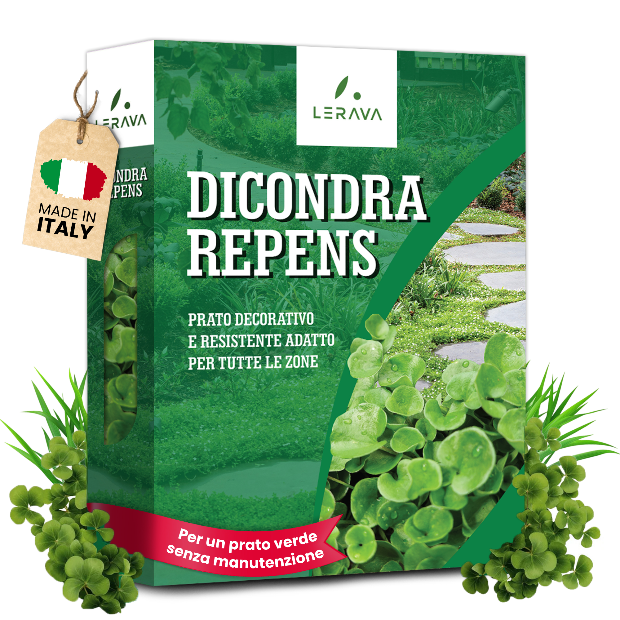 Dichondra Seeds - No Mowing Required