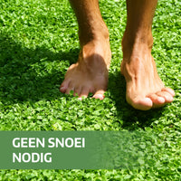 [lang-NL]