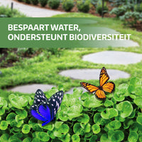 [lang-NL]