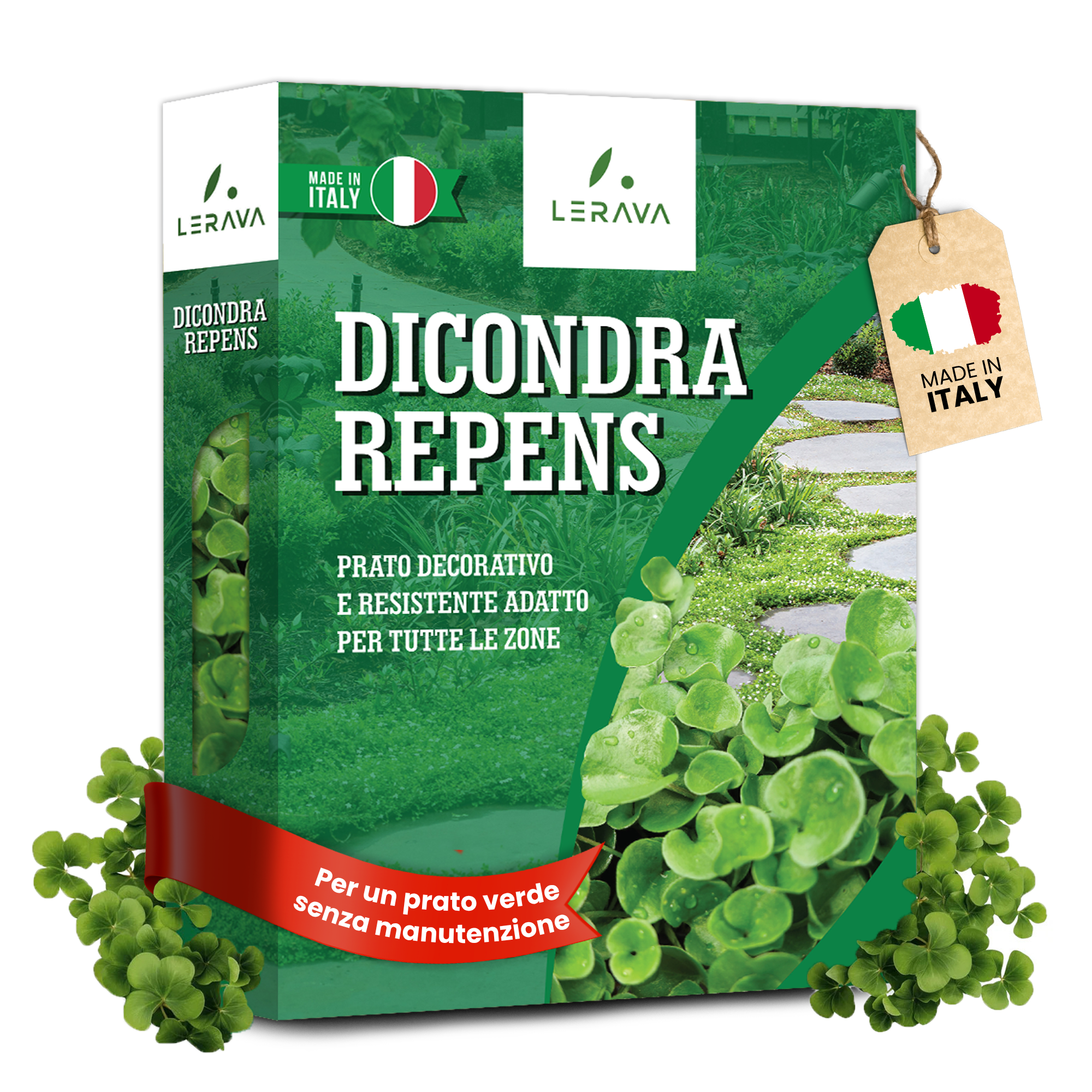 Dicondra Semi - Non Richiede Taglio [20m² - 100m²]