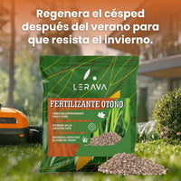 [lang-ES] 