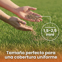 [lang-ES]