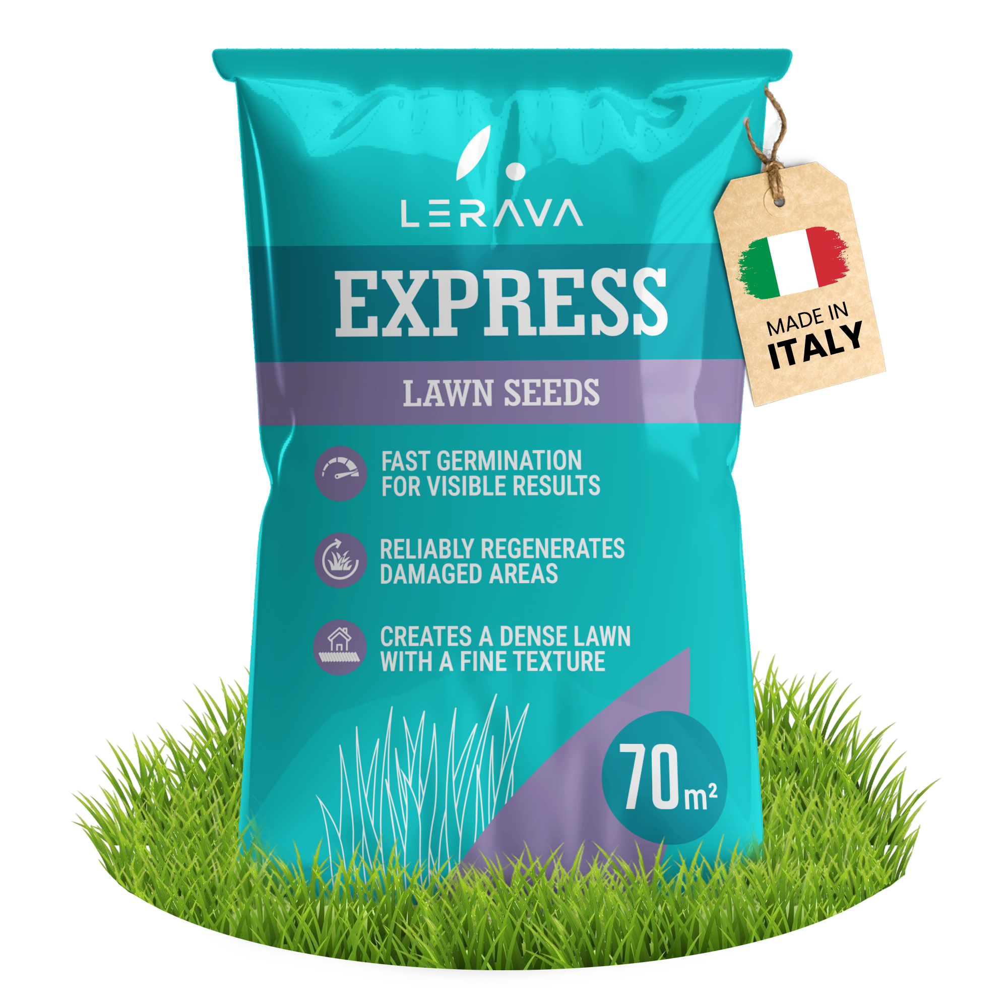 #Taglia_70m² [sku-A0266] [lang-EN]