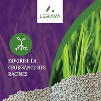 [lang-FR]