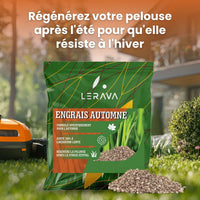 [lang-fr] [lang-nl]