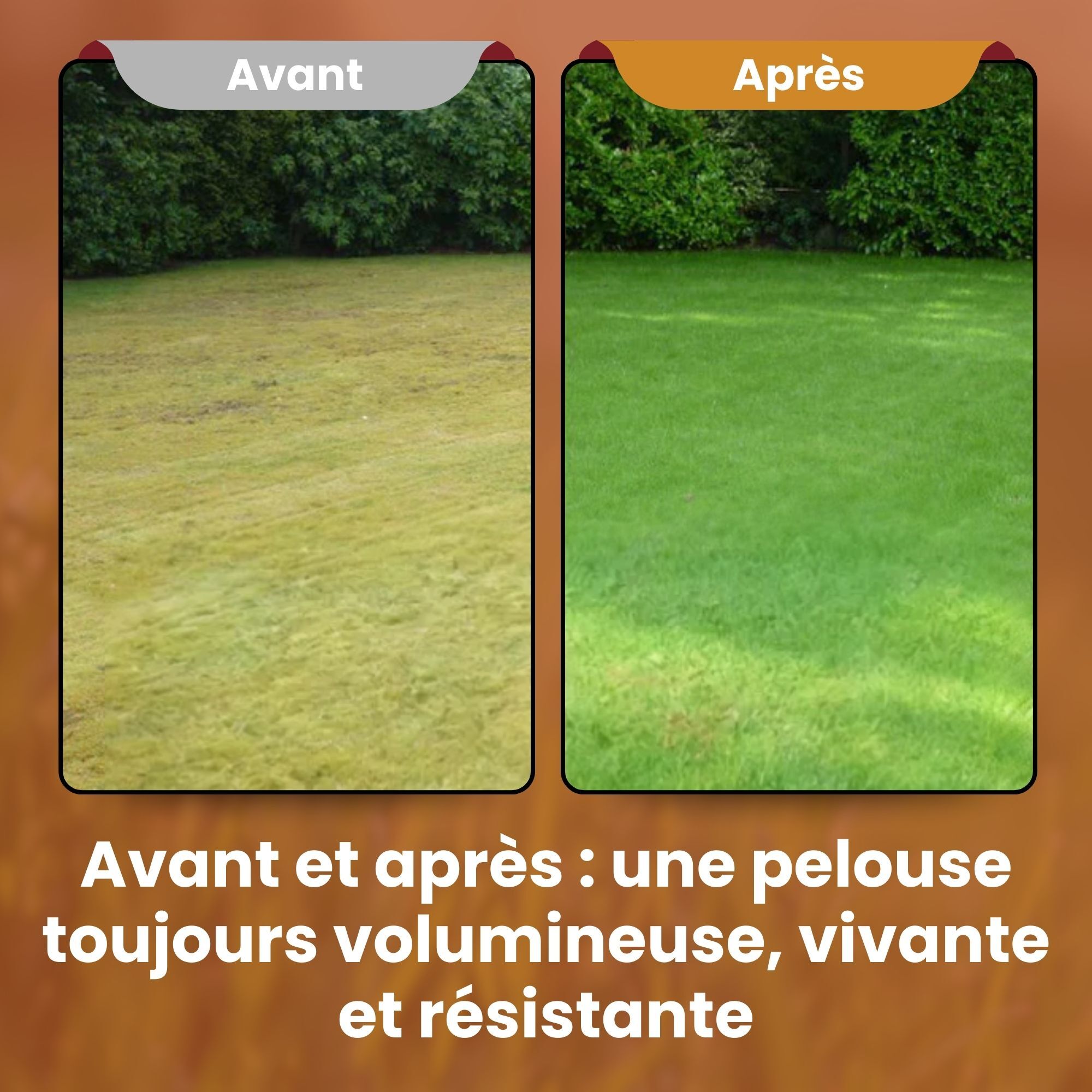 [lang-fr]