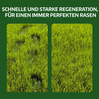 [lang-DE]