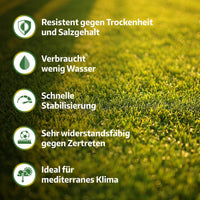 [lang-DE]