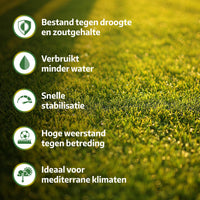[lang-NL]