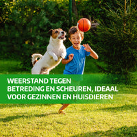[lang-NL] 