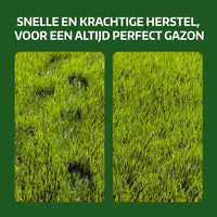 [lang-NL] 