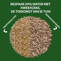 [lang-NL] 