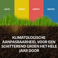 [lang-NL] 