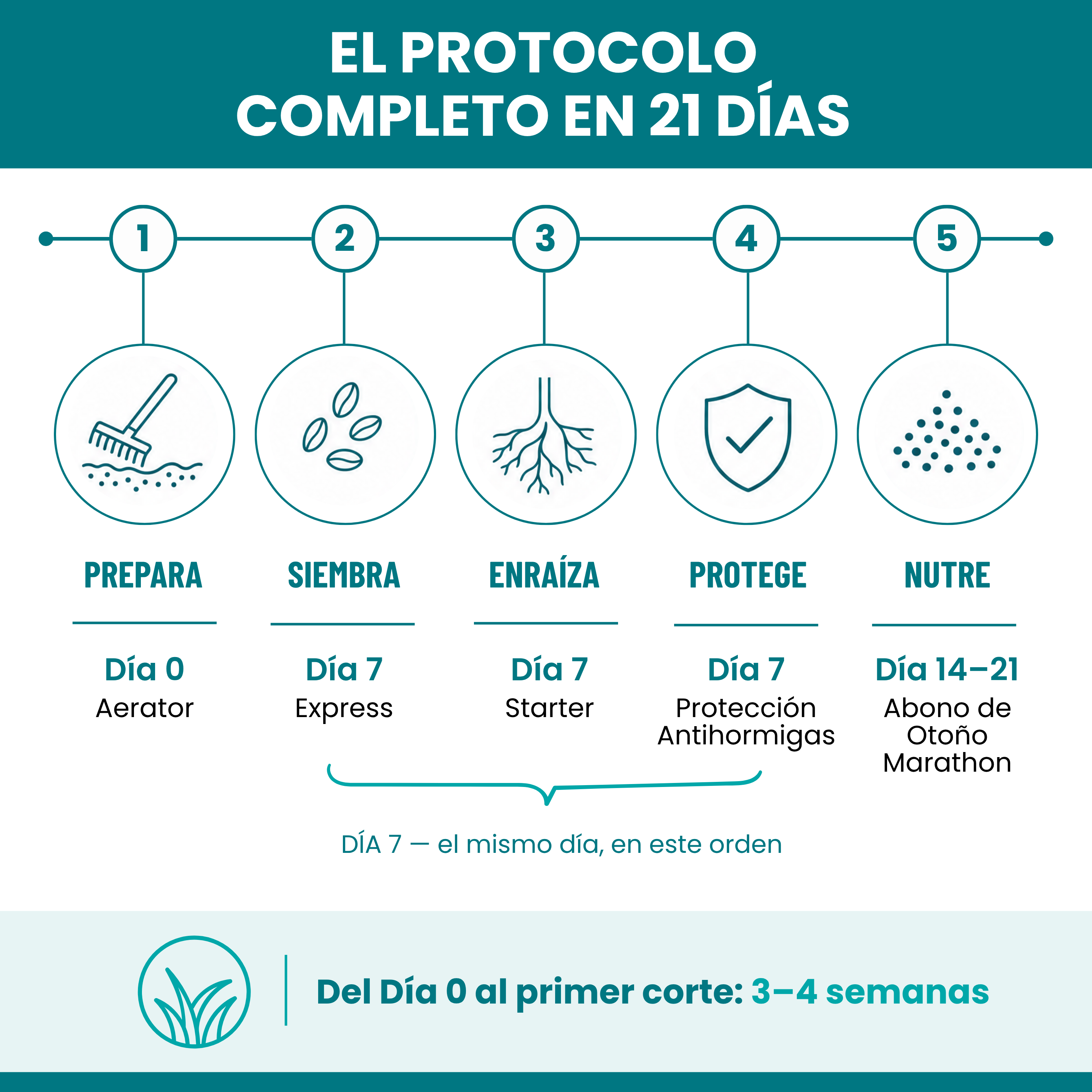 [lang-ES]