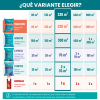 [lang-ES]