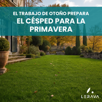 [lang-ES]