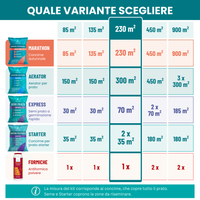 [lang-IT]