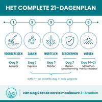 [lang-NL]