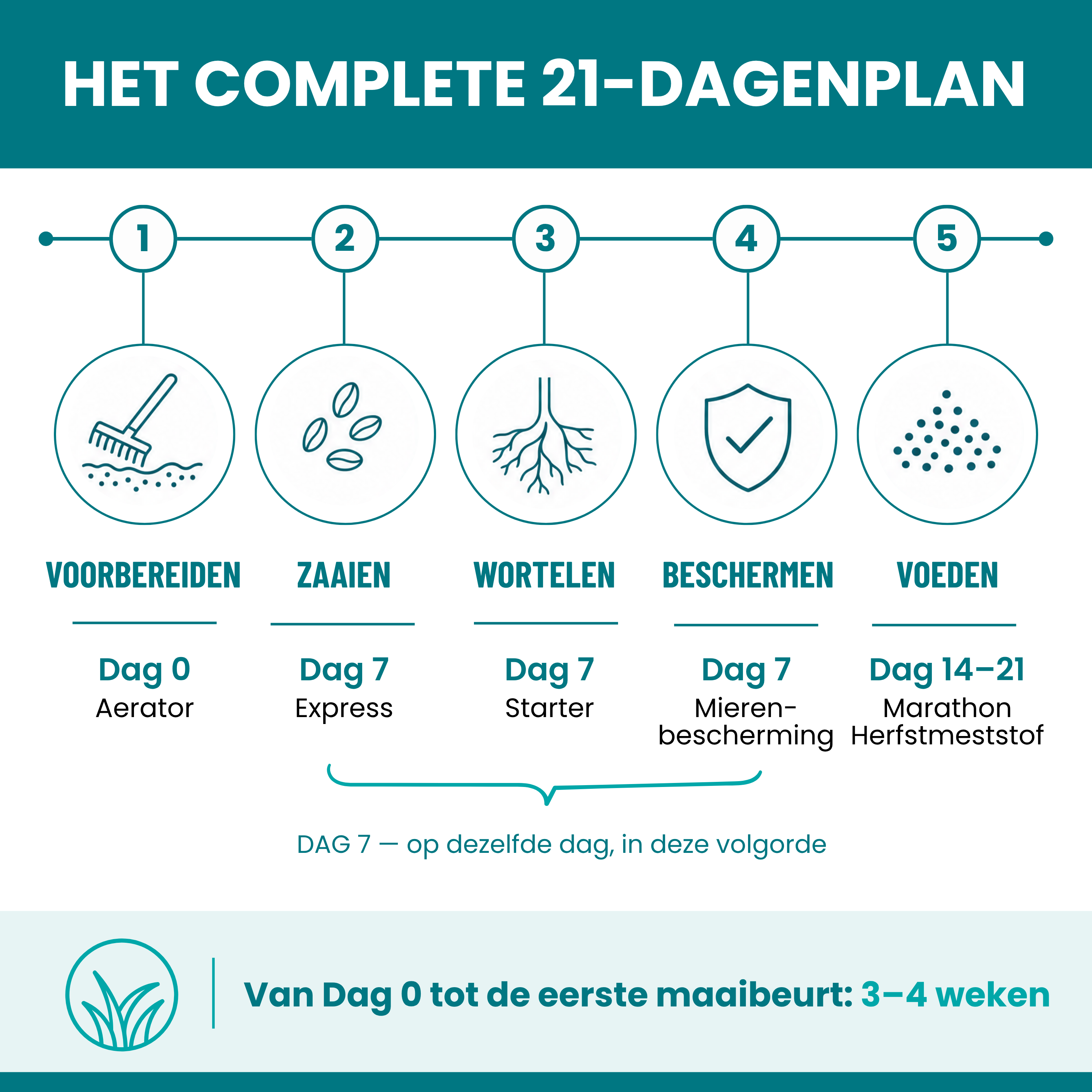 [lang-NL]