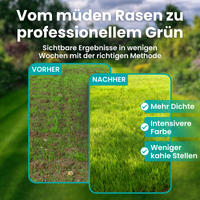 [lang-DE]