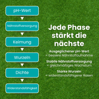 [lang-DE]
