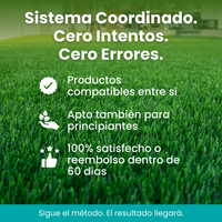 [lang-ES]