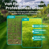 [lang-NL]