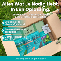 [lang-NL]