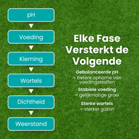 [lang-NL]