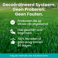 [lang-NL]