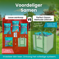 [lang-NL]