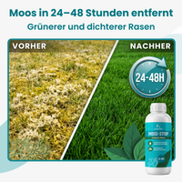 [lang-DE] 