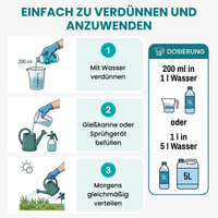 [lang-DE] 