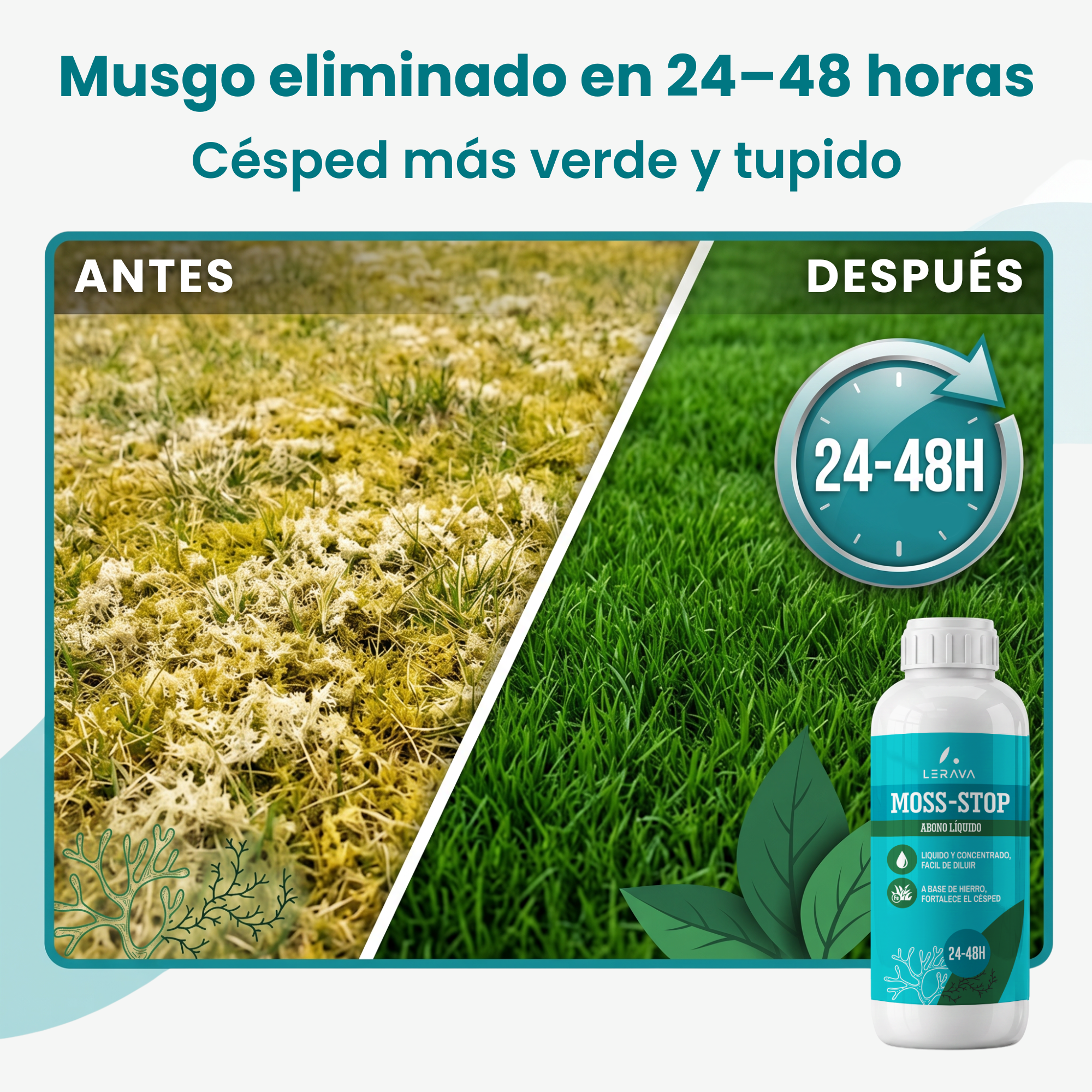 [lang-ES] 