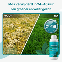  [lang-NL] 
